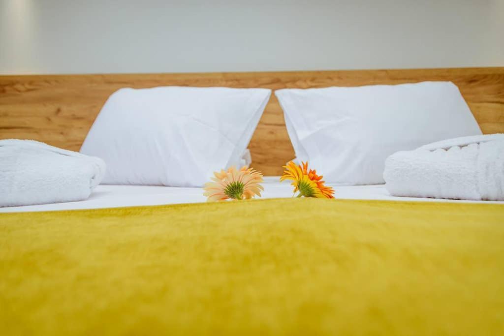 Iliovasilema Apartments Elafonisi Dış mekan fotoğraf