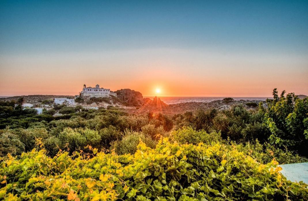 Iliovasilema Apartments Elafonisi Dış mekan fotoğraf